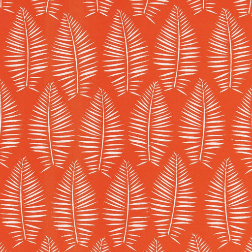 Charlotte - D2465 - Marmalade - Fabric by the Yard Marmalade