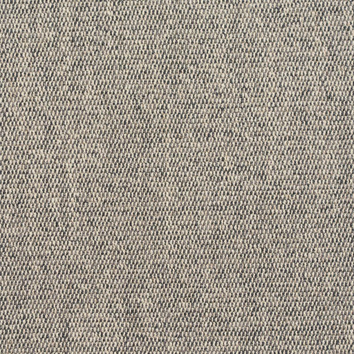 Charlotte - D246 - Pebble - Fabric by the Yard Pebble