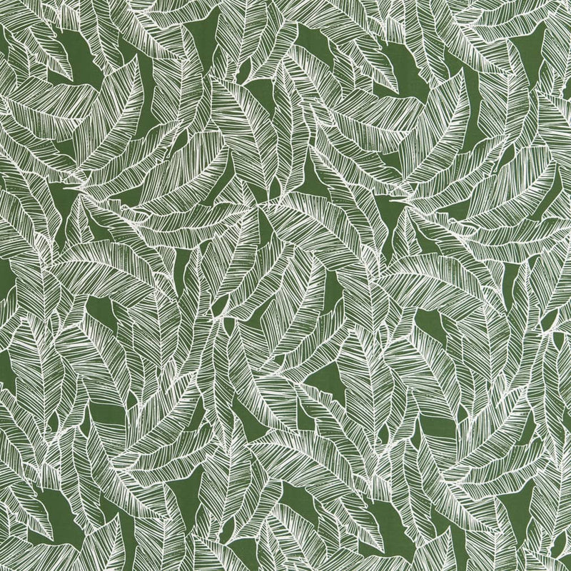 Charlotte - D2485 - Jungle - Fabric by the Yard Jungle