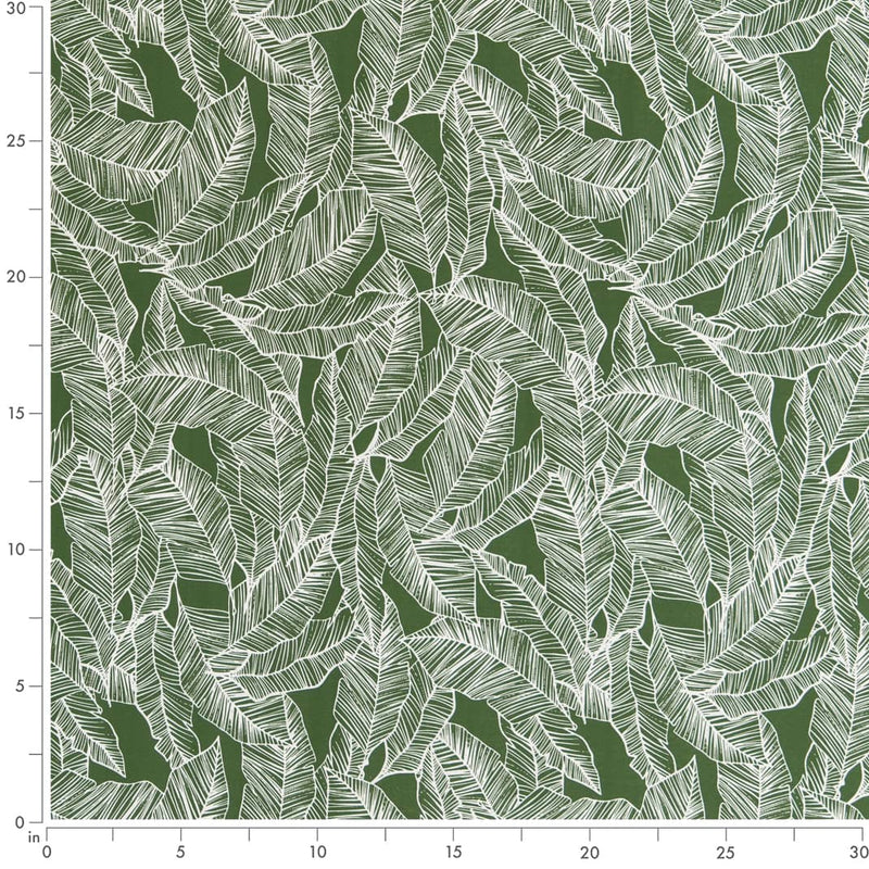 Charlotte - D2485 - Jungle - Fabric by the Yard - D2485 - D2485_Ruler