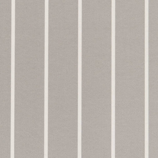 Charlotte - D2491 - Grey - Fabric by the Yard Grey