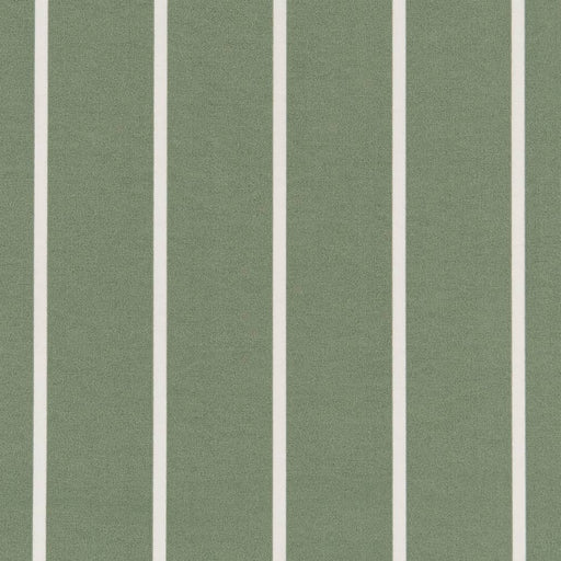 Charlotte - D2492 - Olive - Fabric by the Yard Olive