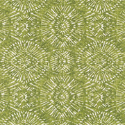 Charlotte - D2498 - Lime - Fabric by the Yard Lime