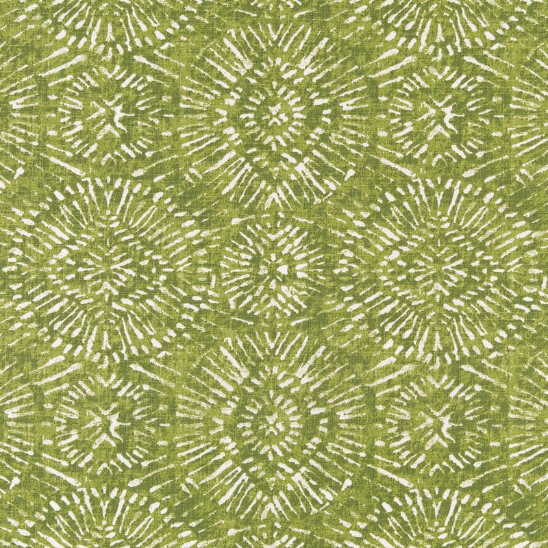 Charlotte - D2498 - Lime - Fabric by the Yard Lime