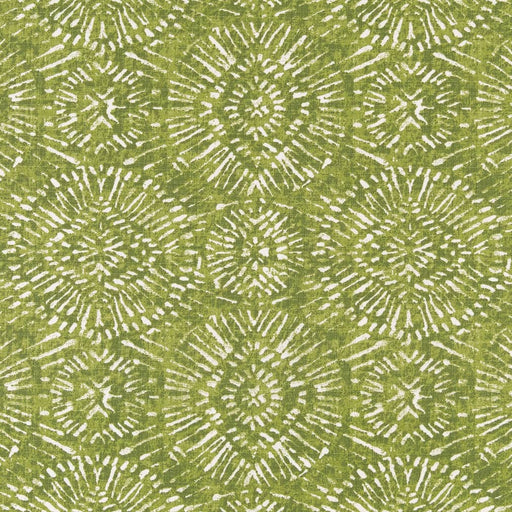 Charlotte - D2498 - Lime - Fabric by the Yard Lime