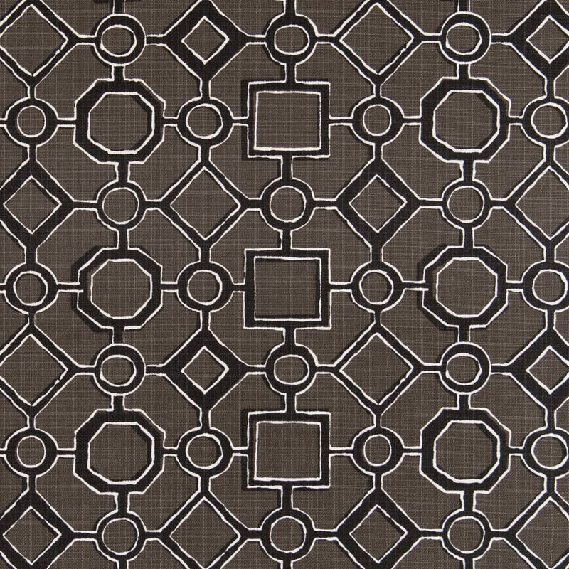 Charlotte - D2499 - Raven - Fabric by the Yard Raven
