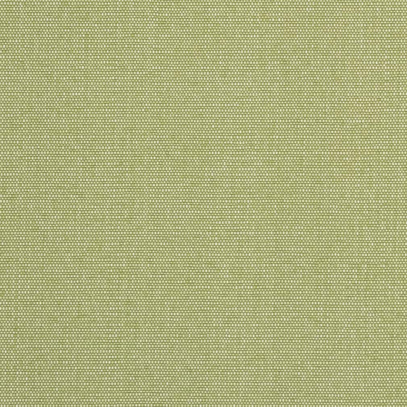 Charlotte - D2521 - Pear - Fabric by the Yard Pear
