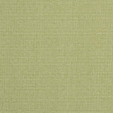 Charlotte - D2521 - Pear - Fabric by the Yard