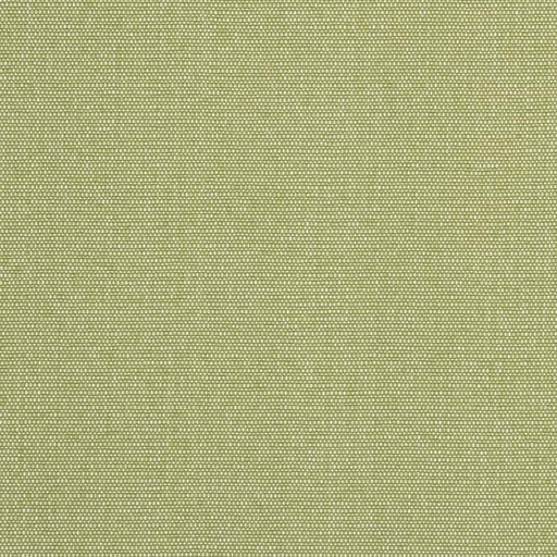 Charlotte - D2521 - Pear - Fabric by the Yard Pear