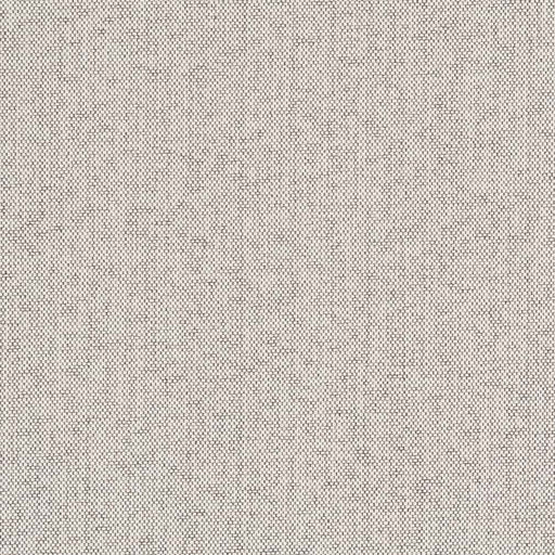 Charlotte - D2525 - Pebble - Fabric by the Yard Pebble