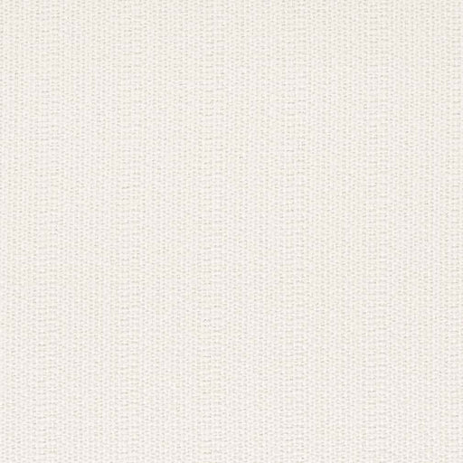 Charlotte - D2529 - Ivory - Fabric by the Yard Ivory