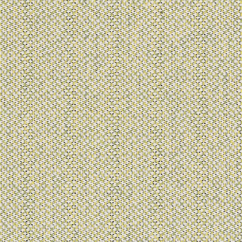 Charlotte - D2532 - Spring - Fabric by the Yard Spring