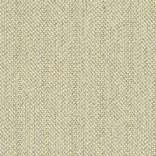 Charlotte - D2532 - Spring - Fabric by the Yard Spring
