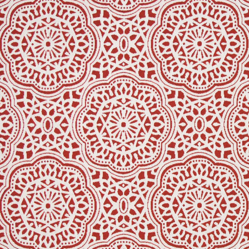 Charlotte - D2549 - Coral - Fabric by the Yard Coral