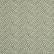 Charlotte - D2553 - Lime - Fabric by the Yard Lime