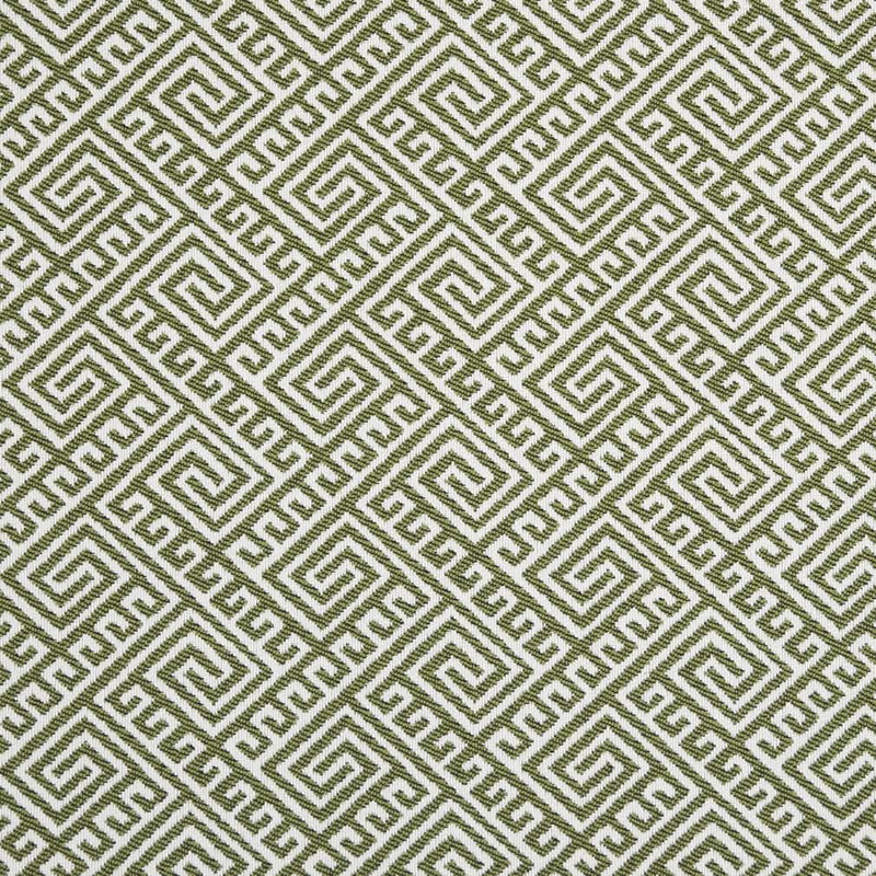 Charlotte - D2553 - Lime - Fabric by the Yard Lime
