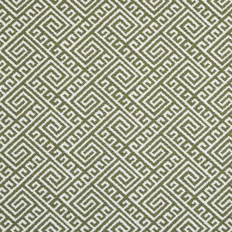Charlotte - D2553 - Lime - Fabric by the Yard - D2553 - D2553_Ruler