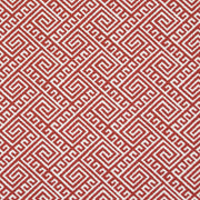 Charlotte - D2555 - Watermelon - Fabric by the Yard Watermelon