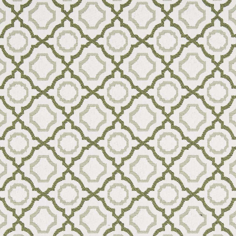 Charlotte - D2559 - Avocado - Fabric by the Yard Avocado