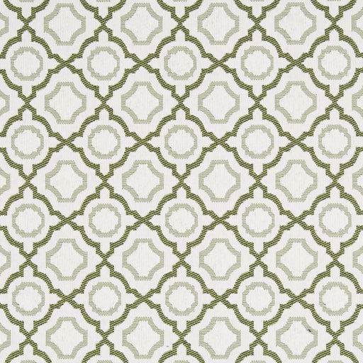 Charlotte - D2559 - Avocado - Fabric by the Yard Avocado