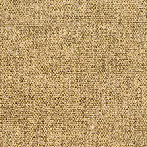 Charlotte - D255 - Pesto - Fabric by the Yard Pesto