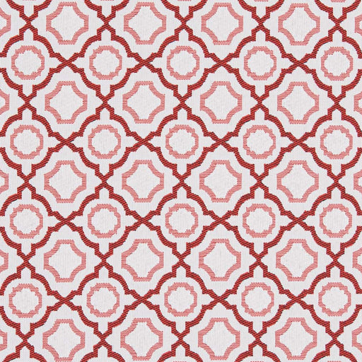 Charlotte - D2561 - Strawberry - Fabric by the Yard Strawberry
