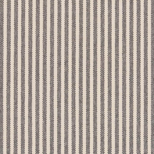 Charlotte - D2586 - Ticking Coal - Fabric by the Yard Ticking Coal