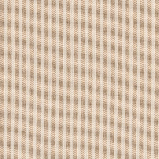 Charlotte - D2590 - Ticking Sand - Fabric by the Yard Ticking Sand