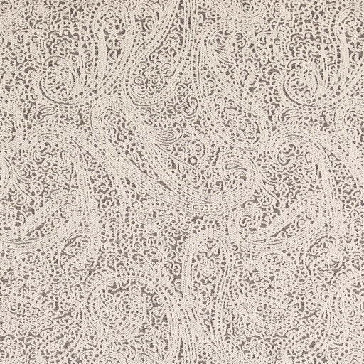 Charlotte - D2592 - Paisley Coal - Fabric by the Yard Paisley Coal