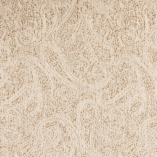 Charlotte - D2593 - Paisley Cafe - Fabric by the Yard Paisley Cafe