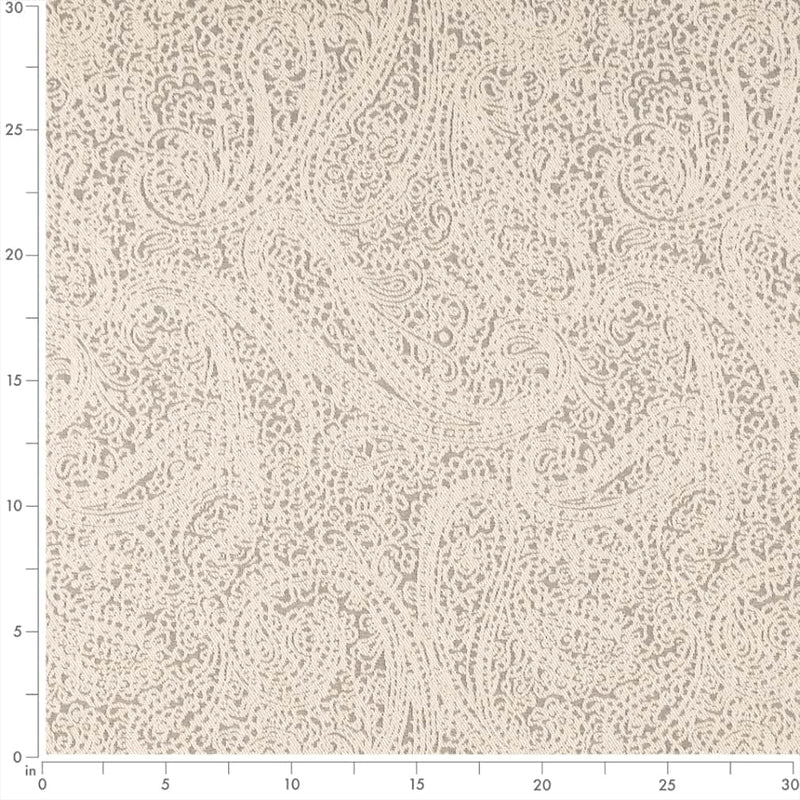 Charlotte - D2596 - Paisley Pewter - Fabric by the Yard - D2596 - D2596_Ruler