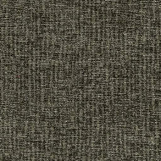 Charlotte - D2646 - Hunter - Fabric by the Yard Hunter