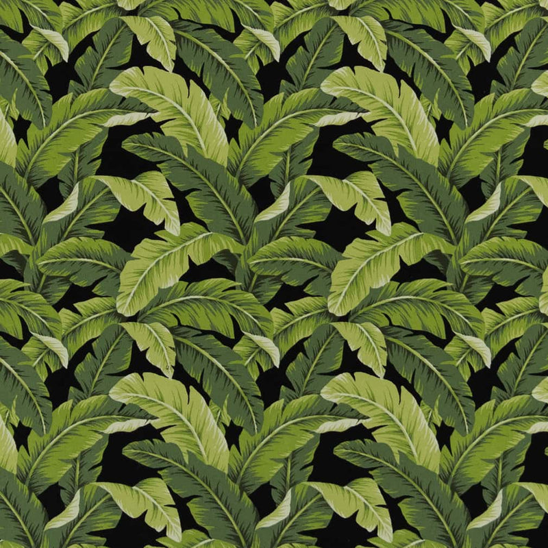 Charlotte - D2715 - Rainforest - Fabric by the Yard Rainforest