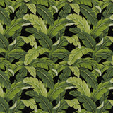 Charlotte - D2715 - Rainforest - Fabric by the Yard
