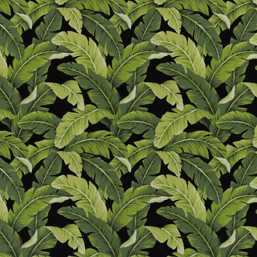 Charlotte - D2715 - Rainforest - Fabric by the Yard Rainforest