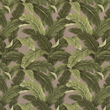 Charlotte - D2716 - Fawn - Fabric by the Yard