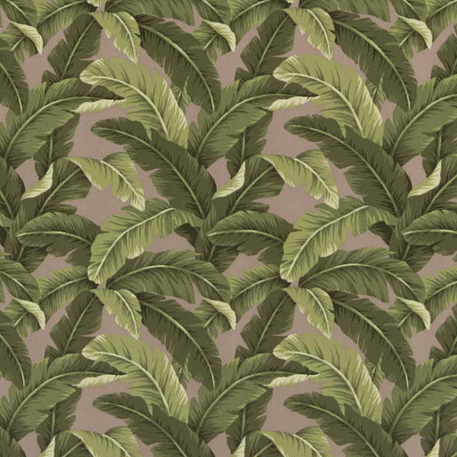 Charlotte - D2716 - Fawn - Fabric by the Yard Fawn