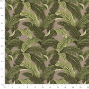 Charlotte - D2716 - Fawn - Fabric by the Yard - D2716 - D2716_Ruler