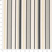 Charlotte - D2725 - Platinum - Fabric by the Yard - D2725 - D2725_Ruler