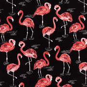 Charlotte - D2730 - Flamingo - Fabric by the Yard Flamingo