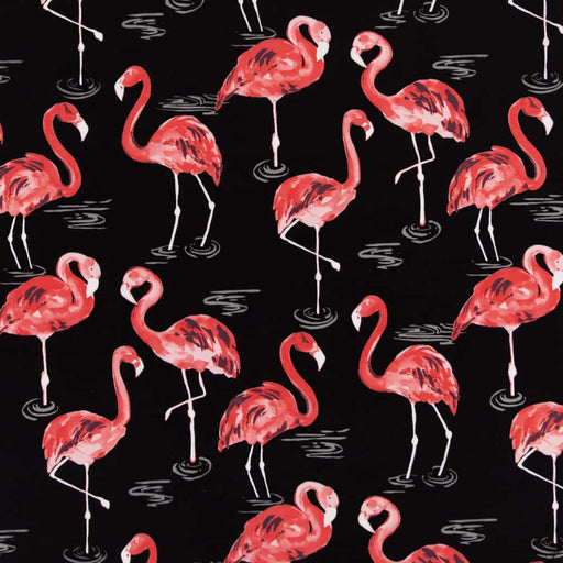 Charlotte - D2730 - Flamingo - Fabric by the Yard Flamingo