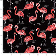 Charlotte - D2730 - Flamingo - Fabric by the Yard - D2730 - D2730_Ruler