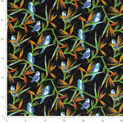 Charlotte - D2754 - Jet - Fabric by the Yard - D2754 - D2754_Ruler