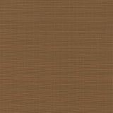 Charlotte - D2779 - Cocoa - Fabric by the Yard