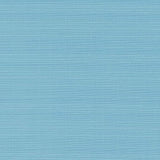 Charlotte - D2790 - Sky - Fabric by the Yard