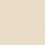 Charlotte - D2793 - Beige - Fabric by the Yard