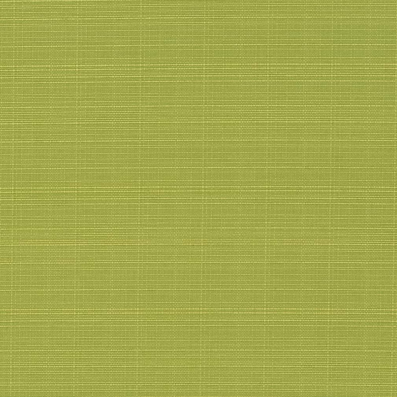 Charlotte - D2795 - Pear - Fabric by the Yard Pear