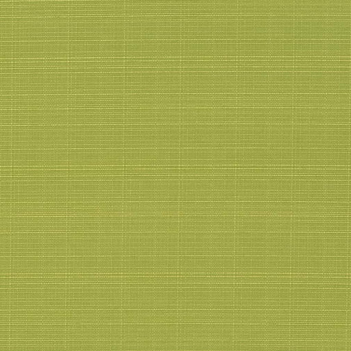 Charlotte - D2795 - Pear - Fabric by the Yard Pear