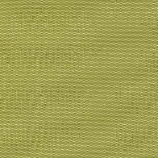 Charlotte - D2804 - Kiwi - Fabric by the Yard Kiwi