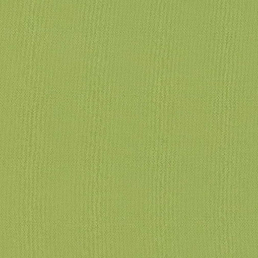 Charlotte - D2819 - Lime - Fabric by the Yard Lime